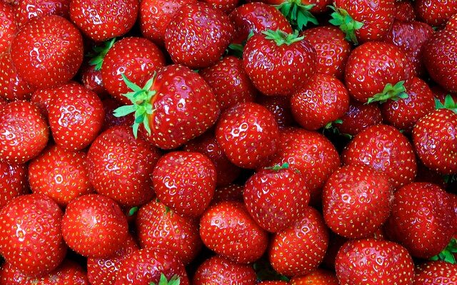 Everything You Need to Know About the 2023 Troy Strawberry Festival